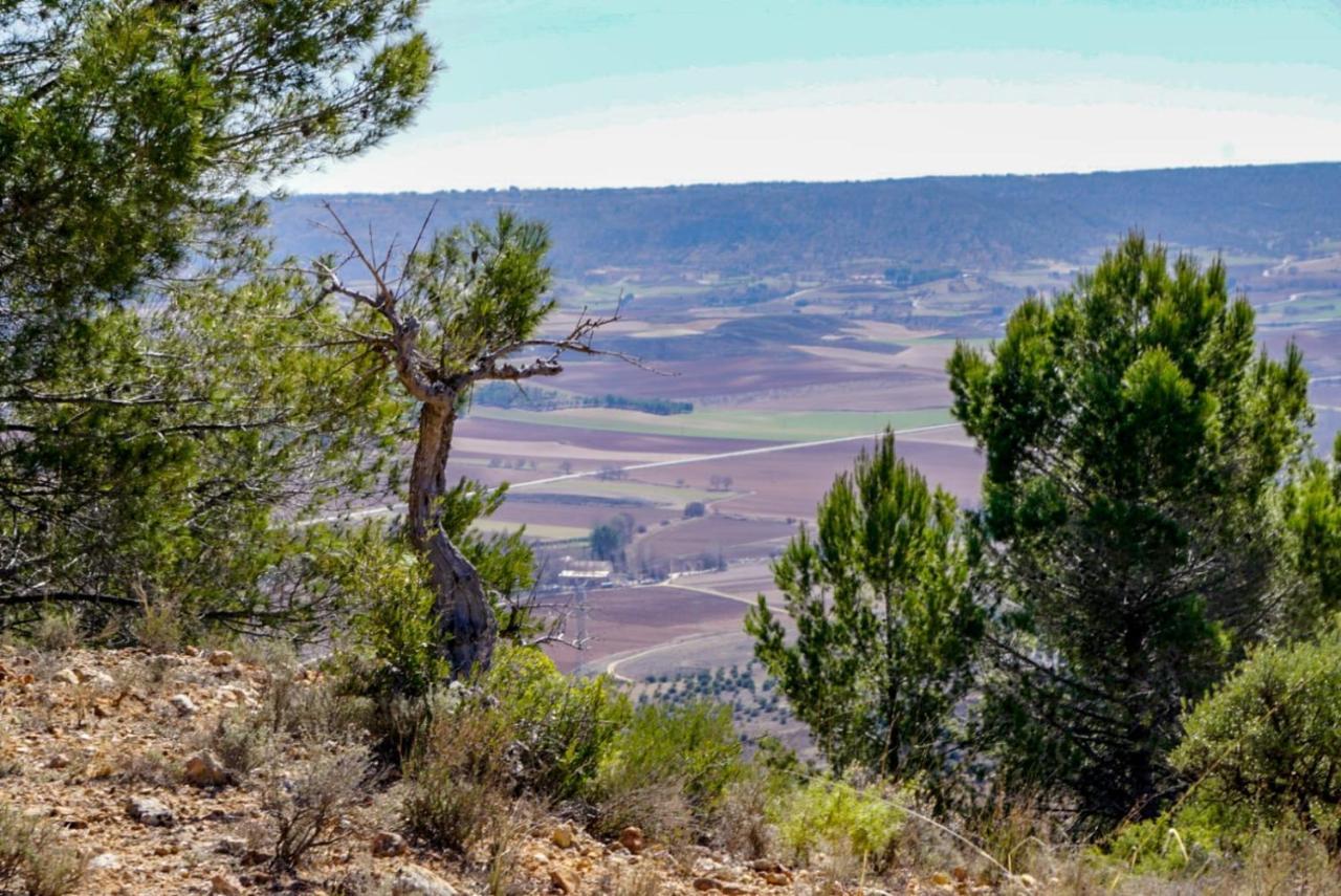 Casa Rural Tio Mora Horche エクステリア 写真